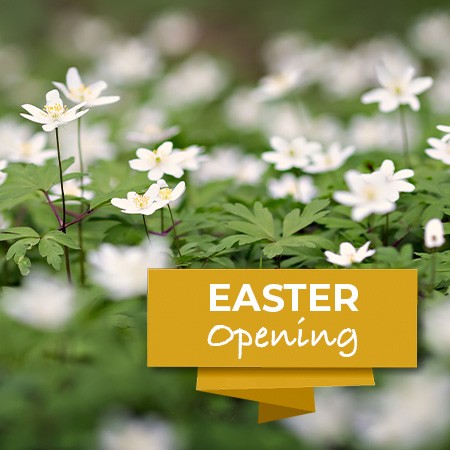 Easter Opening
