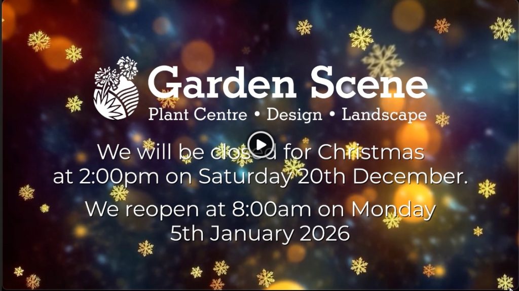 Christmas Hours 2025