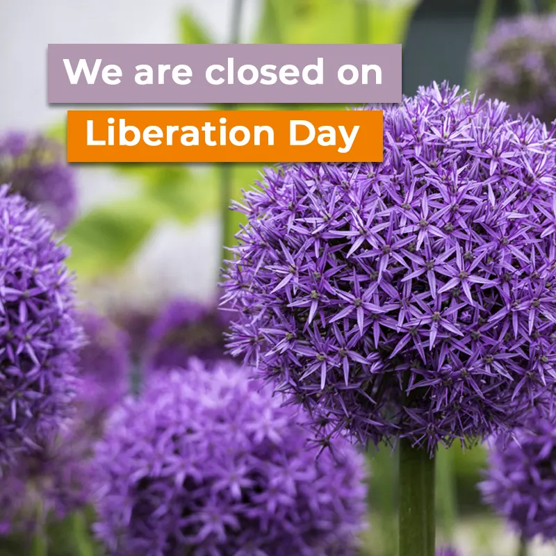 Liberation Day 2026